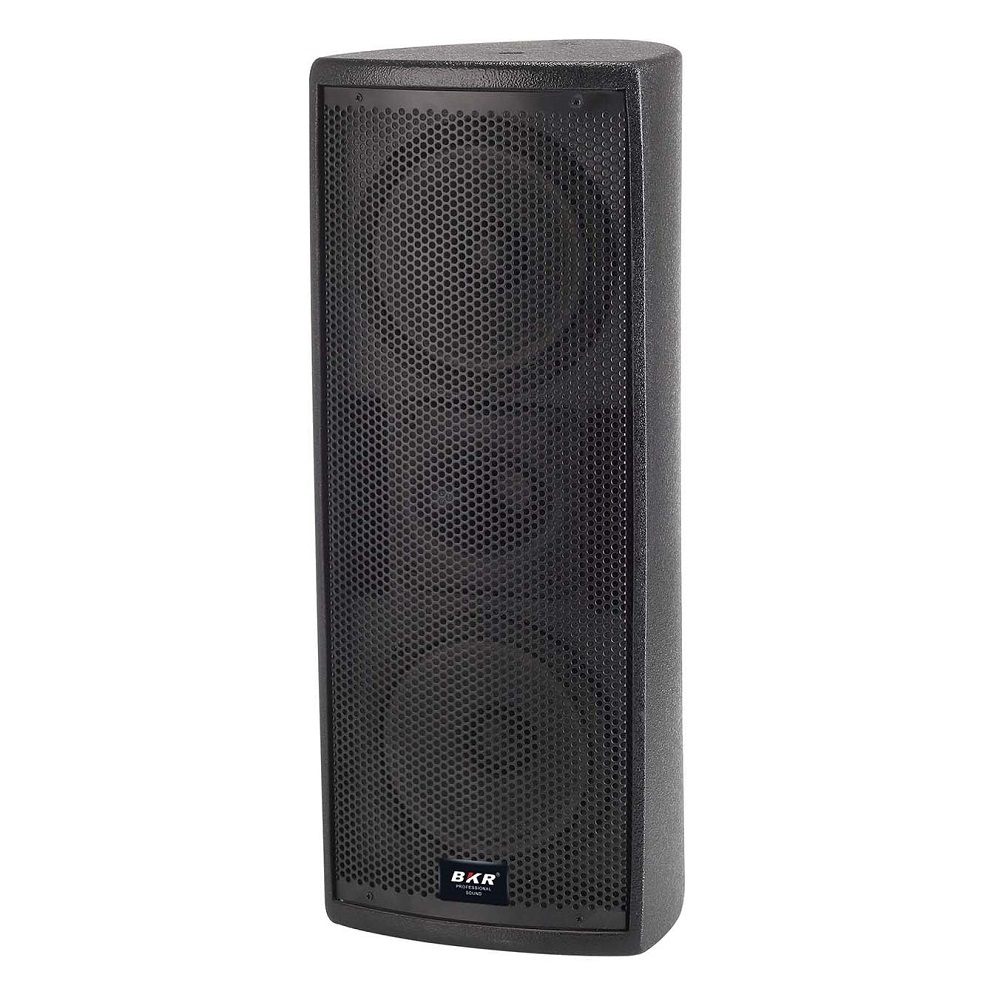 Double 6.5 inch Speaker BKR BR-YM265