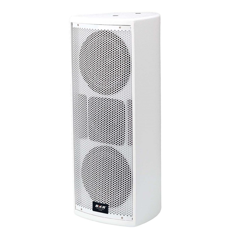 Double 6.5 inch Speaker BKR BR-YM265